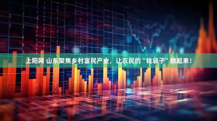 上阳网 山东聚焦乡村富民产业，让农民的“钱袋子”鼓起来！
