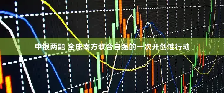 中银两融 全球南方联合自强的一次开创性行动