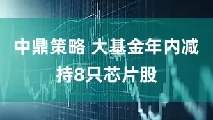 中鼎策略 大基金年内减持8只芯片股