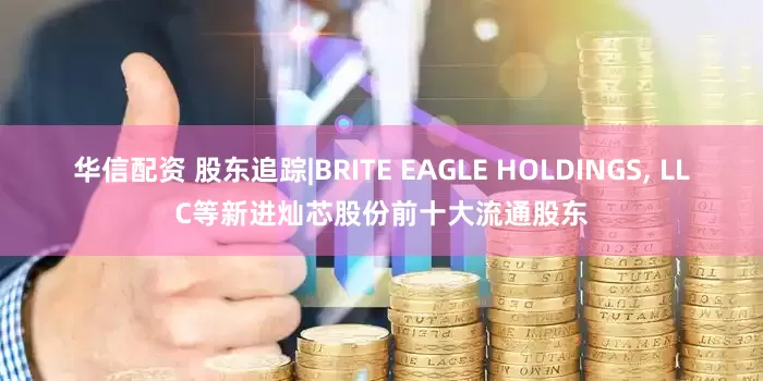 华信配资 股东追踪|BRITE EAGLE HOLDINGS, LLC等新进灿芯股份前十大流通股东