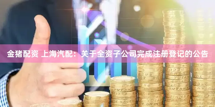 金猪配资 上海汽配：关于全资子公司完成注册登记的公告